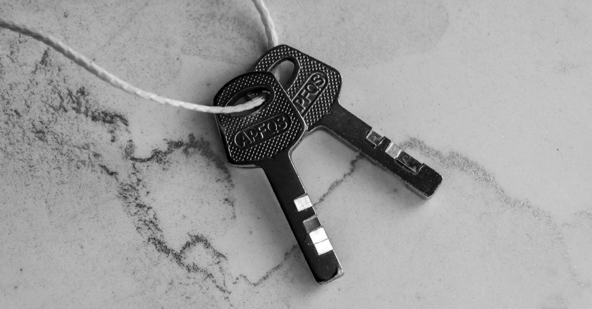 How Master Key Systems Work — and Why the Lock Choice Matters — Floral Park Locksmith